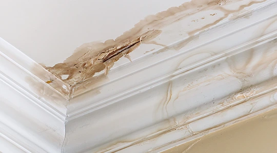Ceiling Water Damage Repair